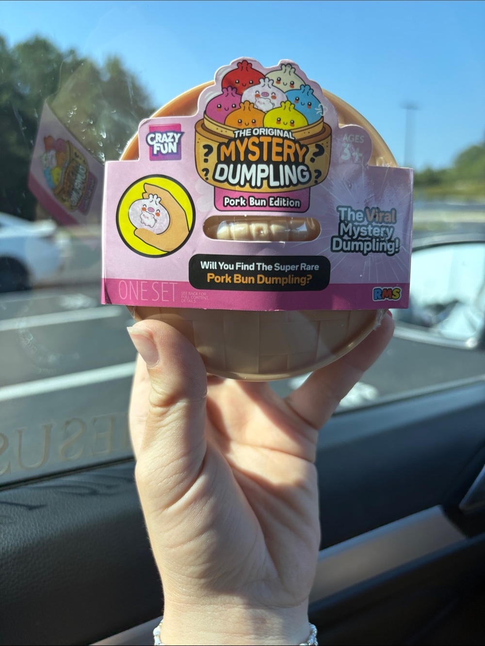 The Original Mystery Dumpling Pork Bun Edition - rms dumplings